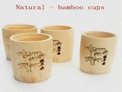 bamboo_bambusa_furniture_mobilier